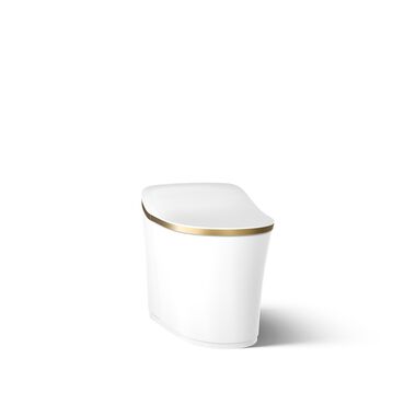 Sanitario Inteligente Eir Alargado De Una Pieza Con Descarga Doble En Dorado