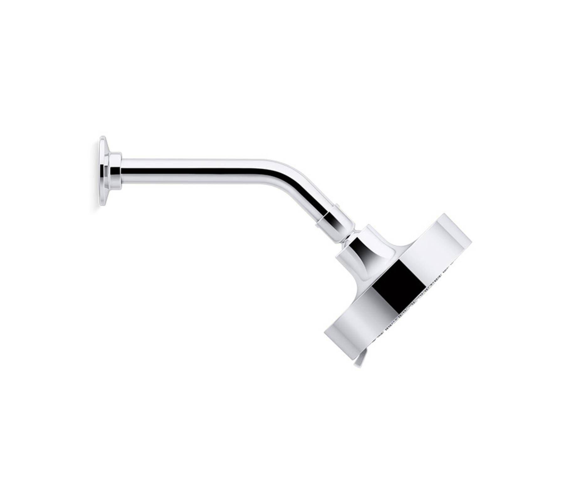 Cebolleta Purist image number null