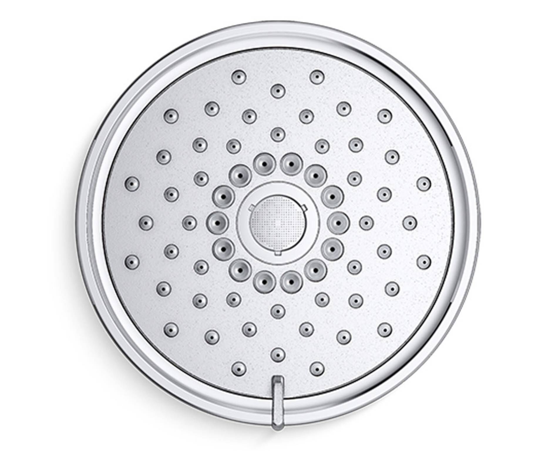 Cebolleta Purist image number null